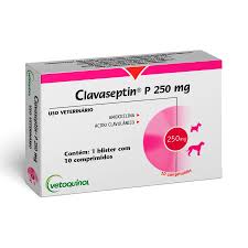 Antibiótico CLAVASEPTIN 250MG