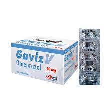 Omeprazol Gaviz 20mg cartela com 10 Comprimidos